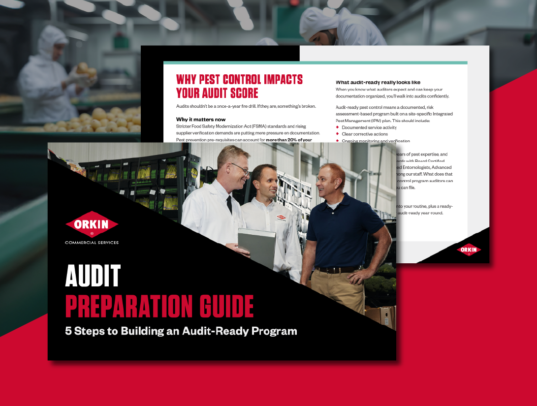 Audit Preparation Guide